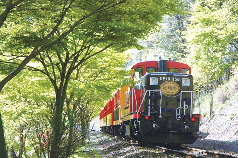 Sagano Romantic Train and Kyoto One Day Bus Tour (Bus Only)